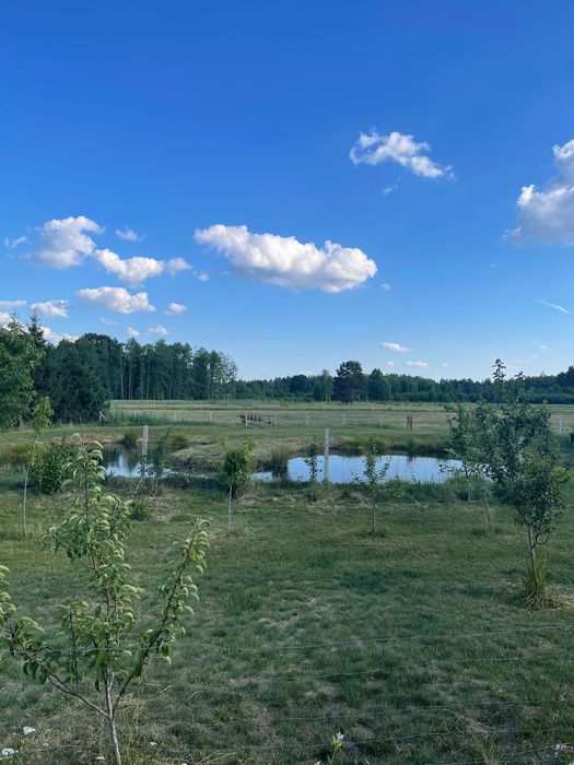 Domek do wynajęcia 350/doba