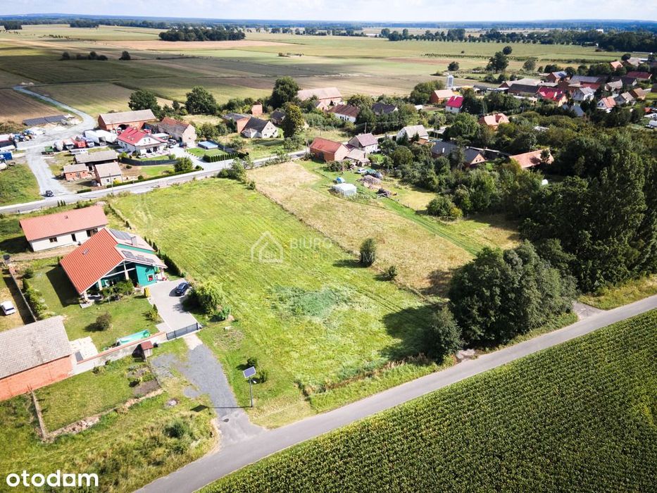 1954 m2 MPZP miejsce na Twój wymarzony dom