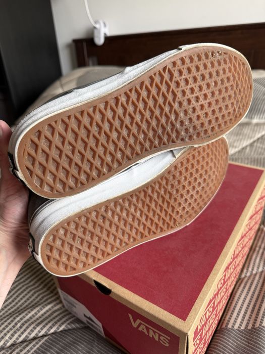 Vans Winston Canvas 43