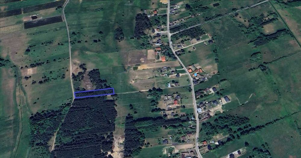 Działka budowlana Całowanie 3400 m² WZ na dwa domy - Widok 2