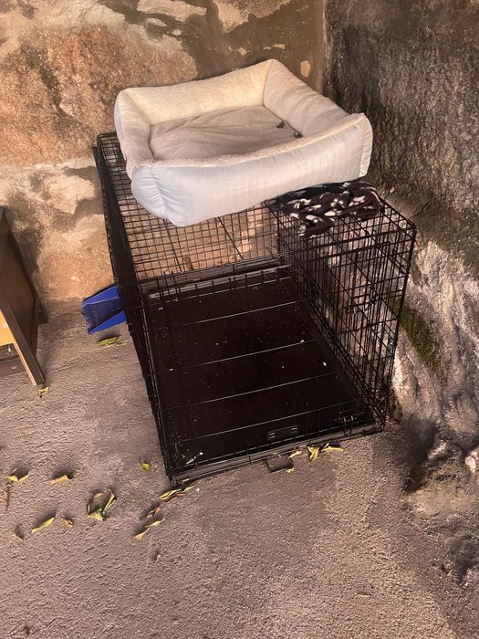 Parque ou gaiola para animal e alcofa