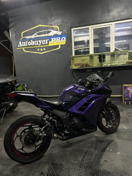 Kawasaki Ninja 250R 2016