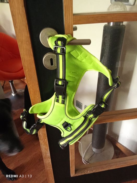 Peitoral XL em excelente estado