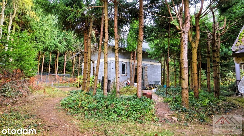 Wyjątkowa nieruchomość - 7600 m2 + 5 domków