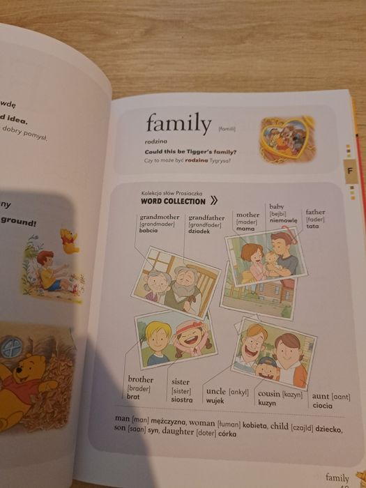 Polecam słowniki angielsko / polskie