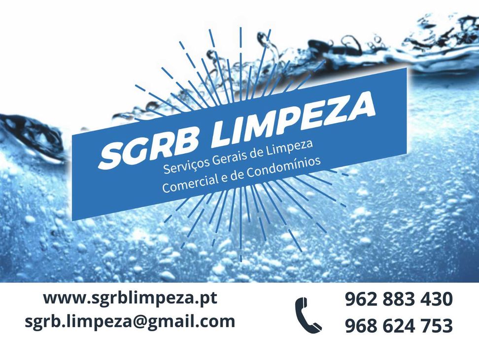 Com carta de condução para serviços de limpeza com Seixal