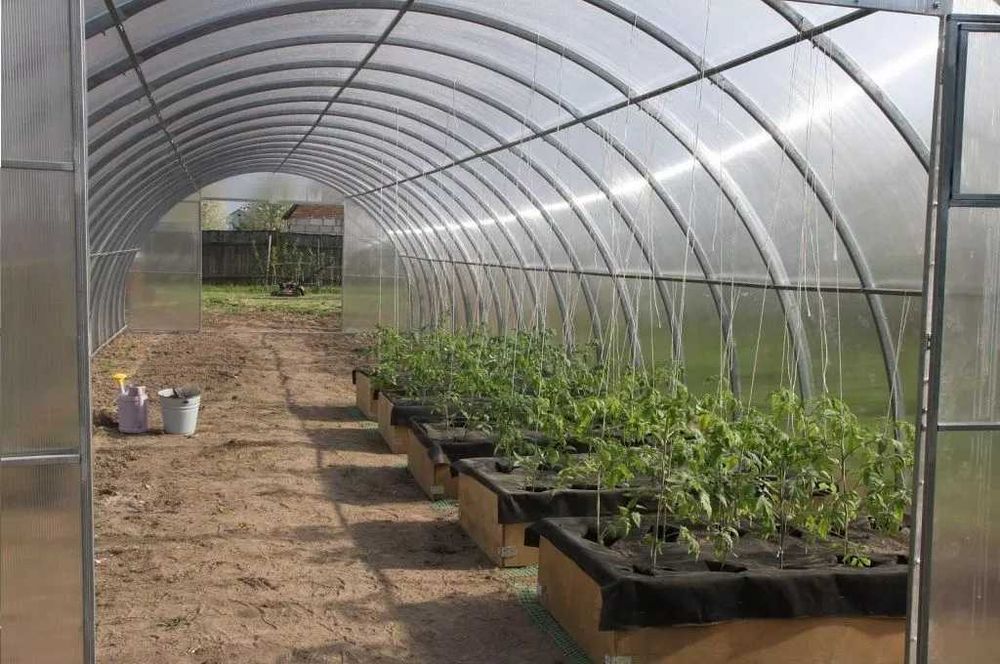 Чешські теплиці  з полікарбонатом та з плівкою МРІЯ, 2 двері