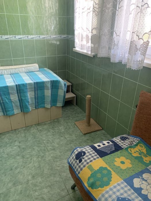 Зооготель домашнього типу для котів Пані Коцька