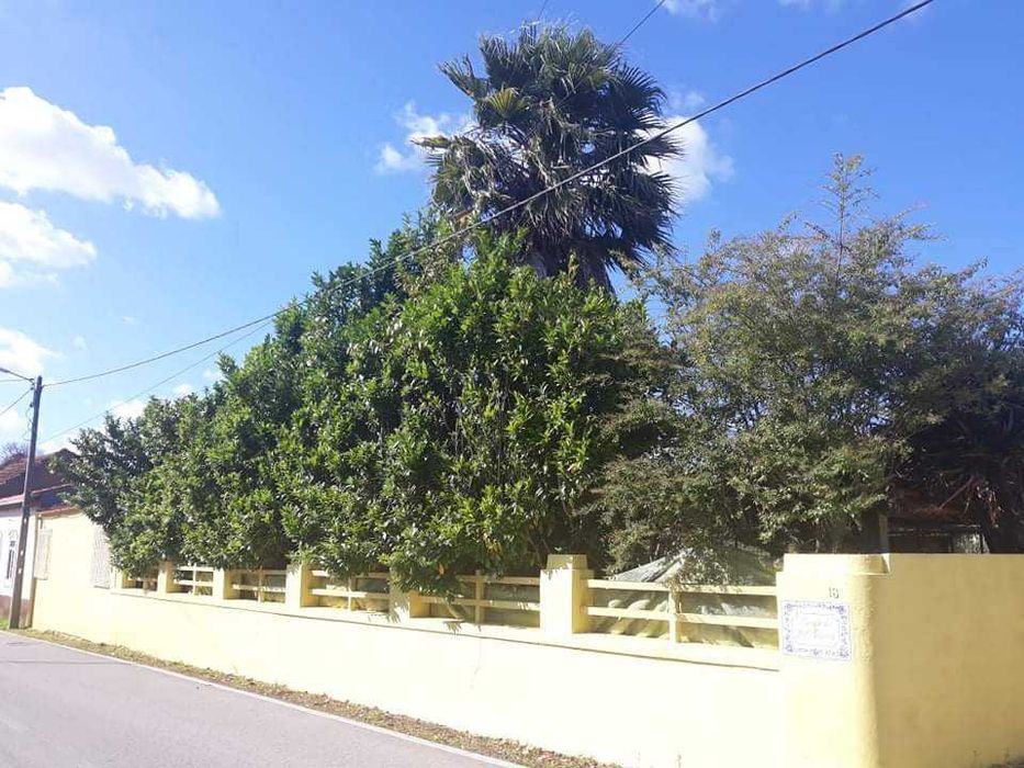 1ha Quinta murada com casa de habitação e terreno agrícola