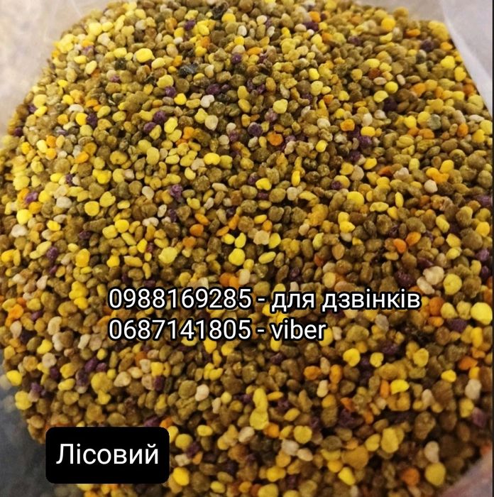 Бджолиний  пилок