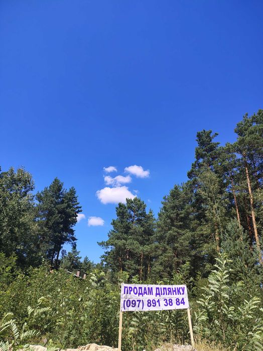Участок в сосновом лесу в элитном коттеджном пригороде Киева (почти Буковель)