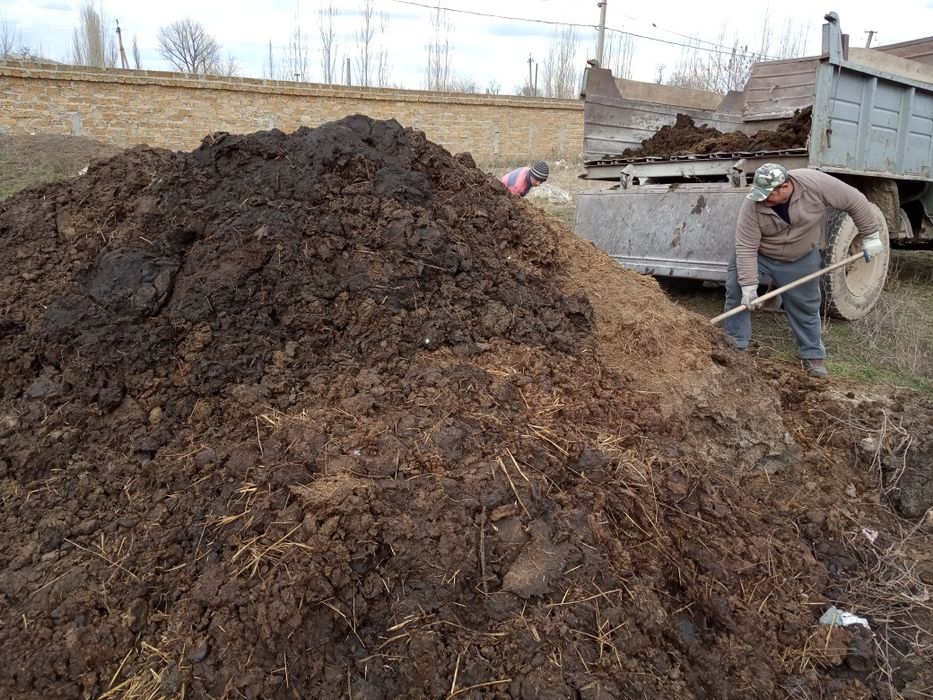 Доставка чернозёма песка щебня ,отсева.сыпца перегноя.вывоз мусора