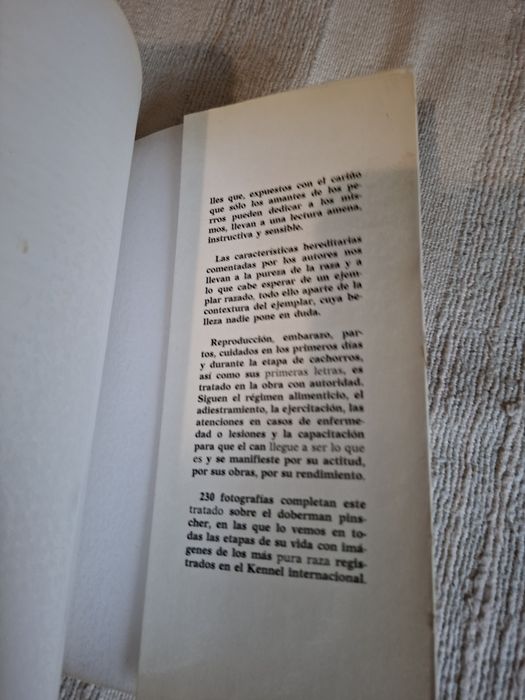 Todo sobre ele Dobermann Pinscher livro espanhol