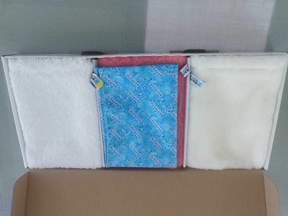 Raypath Car cleaning set