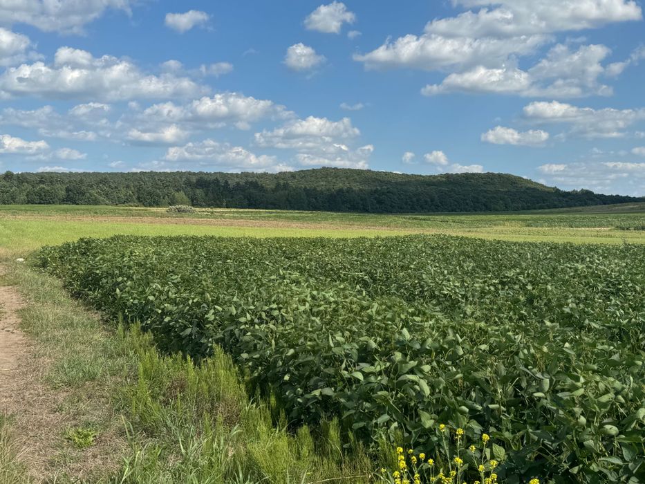 Продам ділянку за вигідною ціною