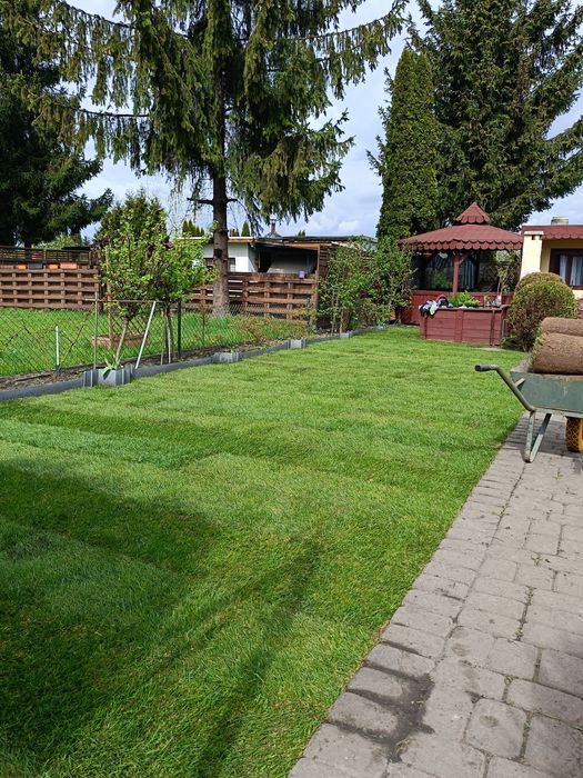 Zakładanie Trawników, Prace Ogrodnicze, niwelacja terenu