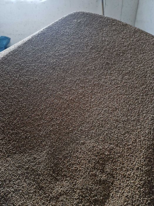 Pszenica ozima ok. 2 tony