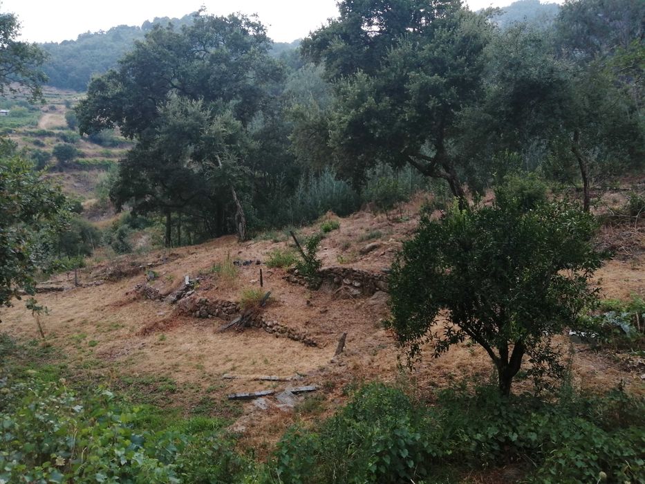 Terreno em santa marinha do zezere
