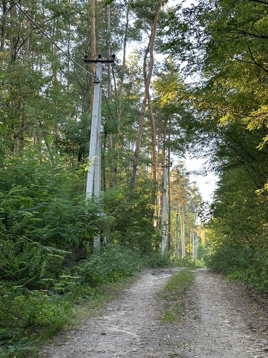 Продаж унікальної земельної ділянки площею 3,83 га