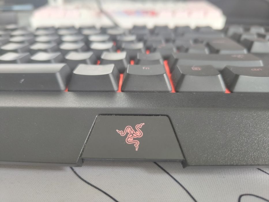 Teclado RAZER Cynosa Chroma (gaming)