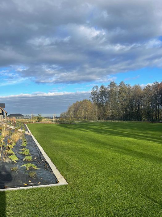 Trawa z rolki - darń rolowana