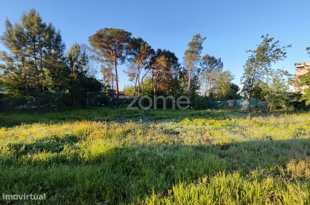 Terreno Urbanizável Vila Chã de Sá