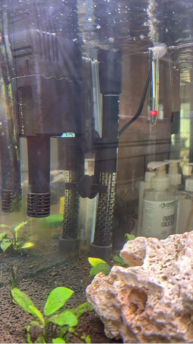 Aquario completo 120L