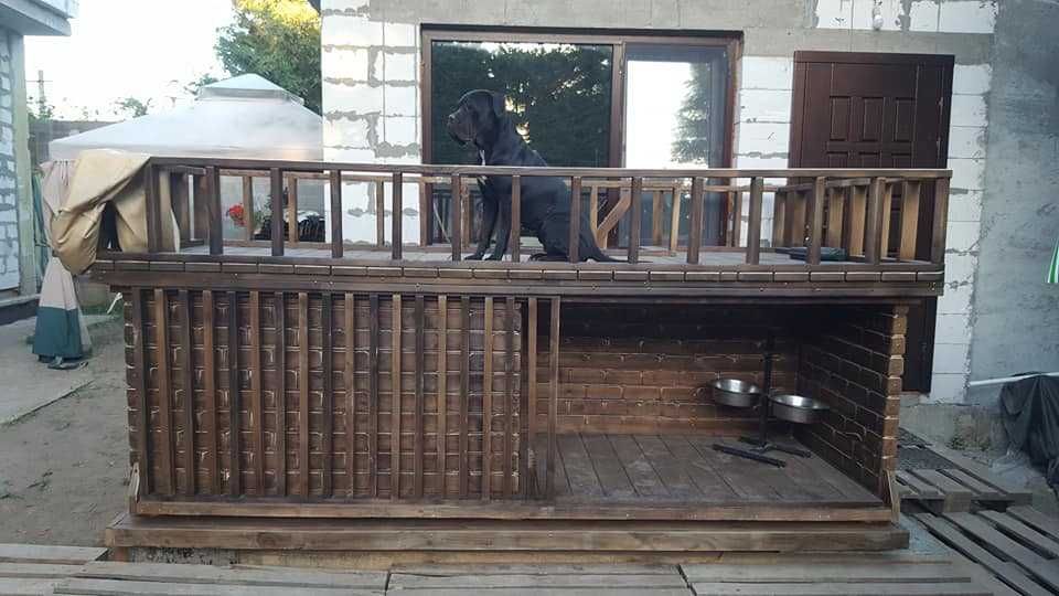 Будки для собак, собачьи вольеры