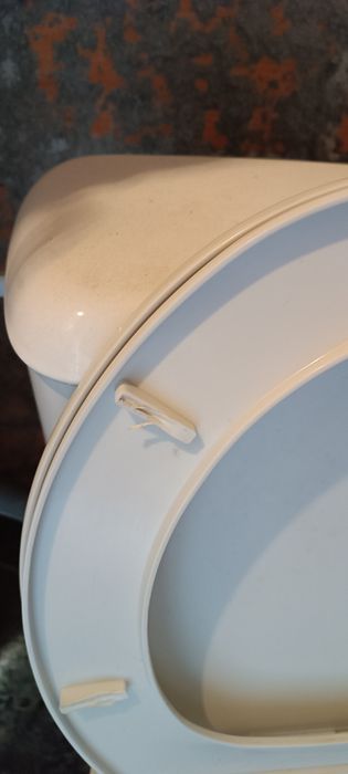 Sanita com tanque, assento e mecanismo de descarga em bom estado