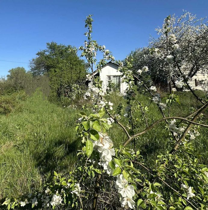 Продаж ділянки 12 соток. Світло. Газ поруч. Біля озера та лісу. ID:584