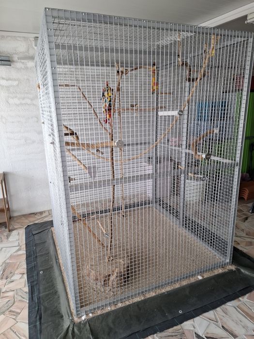 Gaiola para Aves