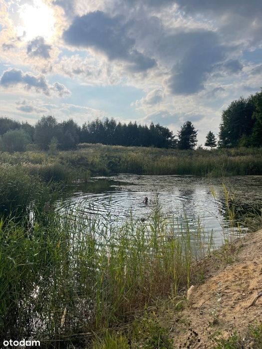 Bezpośrednio - sielska działka nad stawem koło lasu - 26km od Warszawy