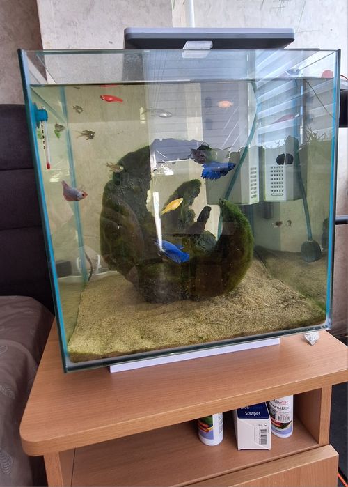 Продам красивий акваріум 30л з рибками та обладнанням!