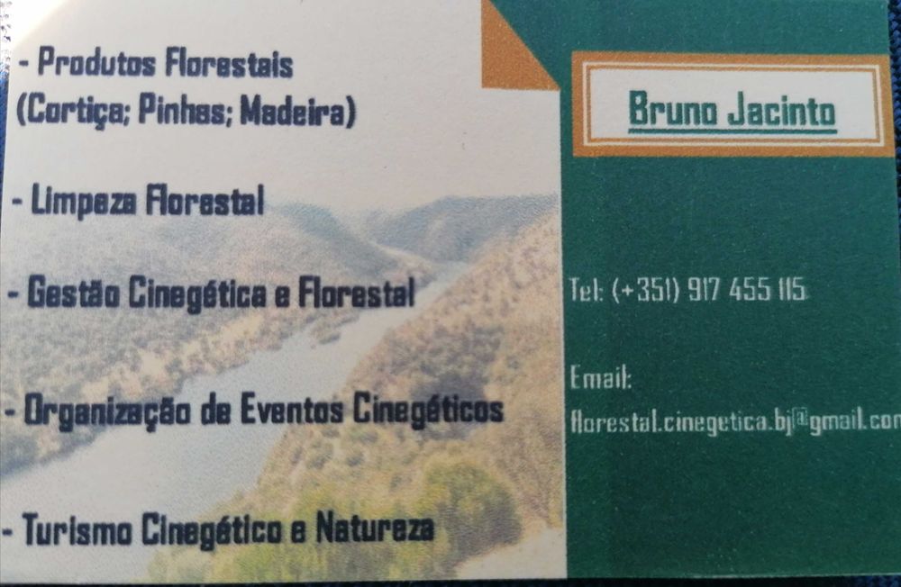 Cortiça na Árvore (Comércio e Extração)