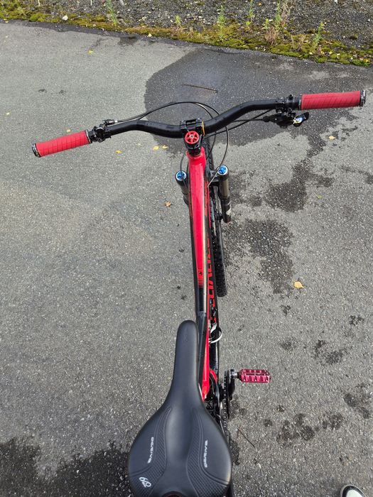 Specialized StumpJumper 29'