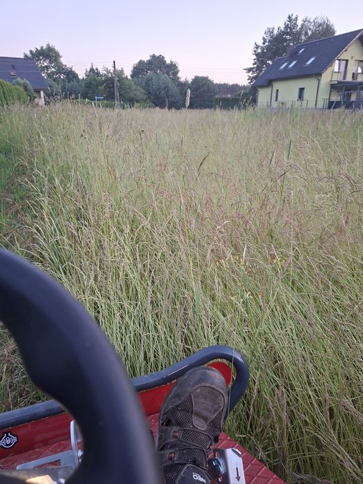Koszenie działek, mulczowanie/karczowanie