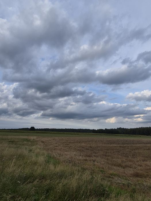 Sprzedam działki siedliskowe 3000 m²