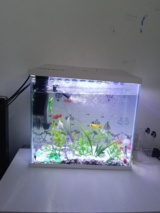 akwarium 19L dobry stan