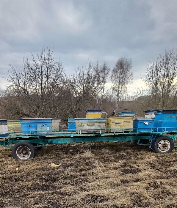 Причіп-платформа для перевезення  бжіл 50000грн