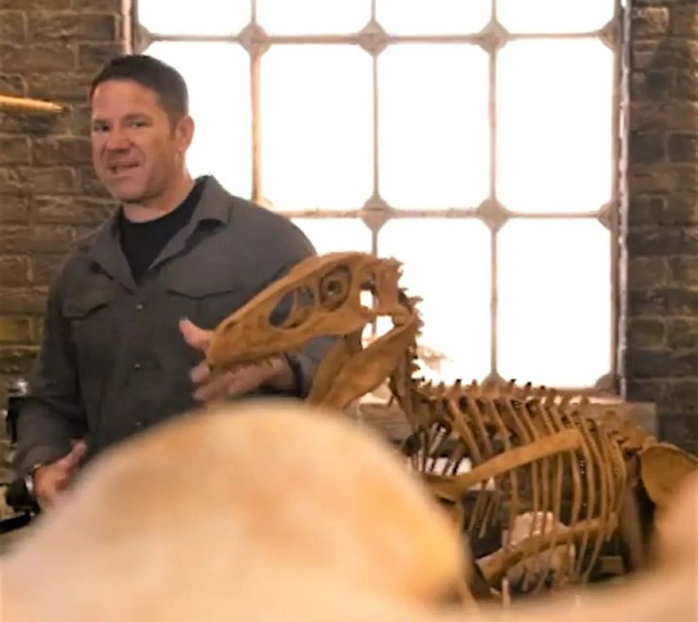 Fóssil de Raptor Deinonychus Velociraptor Utahraptor Esqueleto