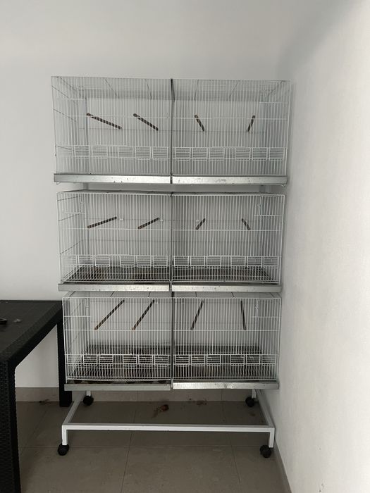 Gaiolas para passaros