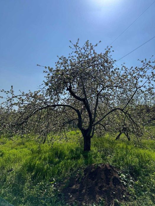 Продаж дачного будинку з ділянкою 7 соток, 16 кв. м