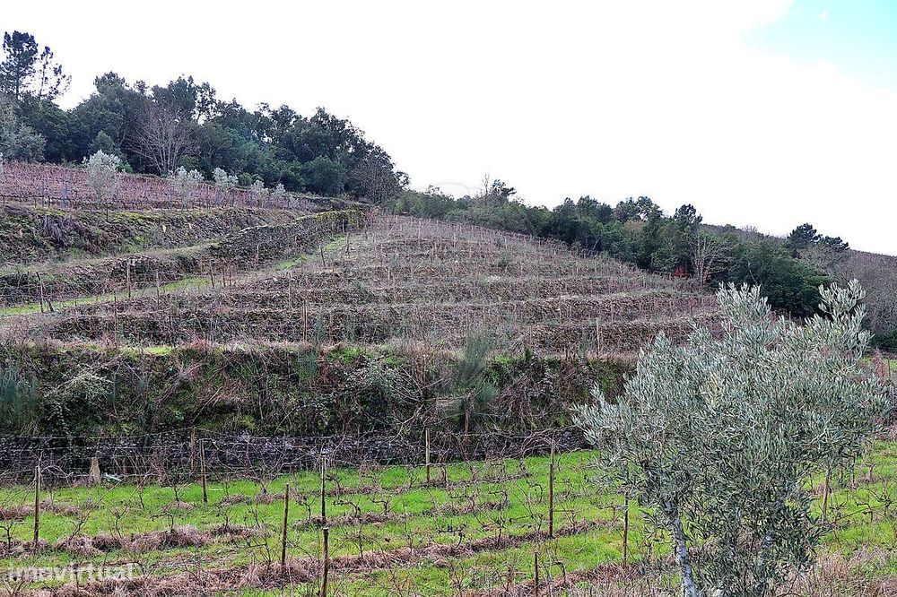 Quinta  para venda