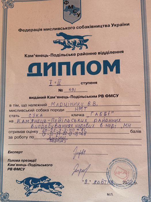 Цуценята Ягдтерєра!