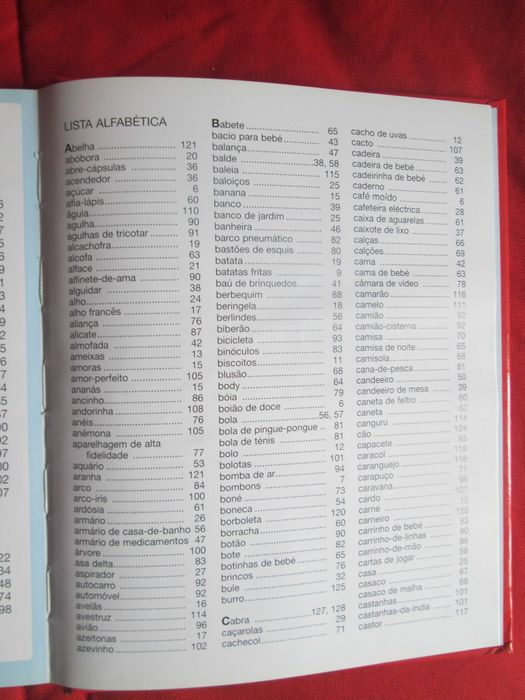 Dicionário por Imagens Português-Inglês
