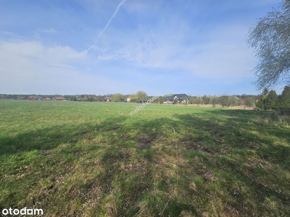 Działka Budowlana 1462 M² | Dobiesz | Piękne Brzozy | Dojazd Z 2 Stron - More