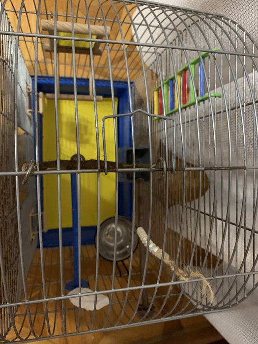 Клітка для папуг