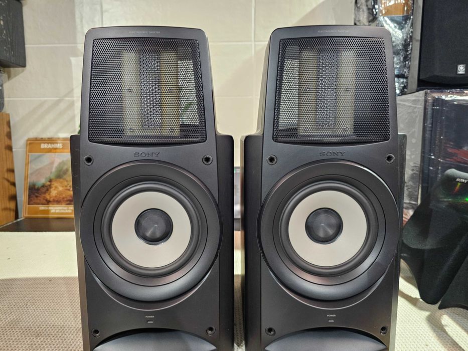 Електростати Sony SA-EX100 / SONY SA-S900