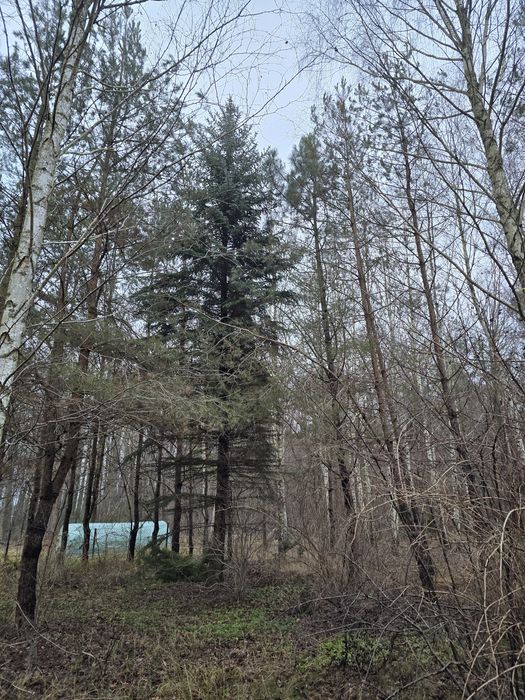 DZIAŁKA budowlana W Choroszczy