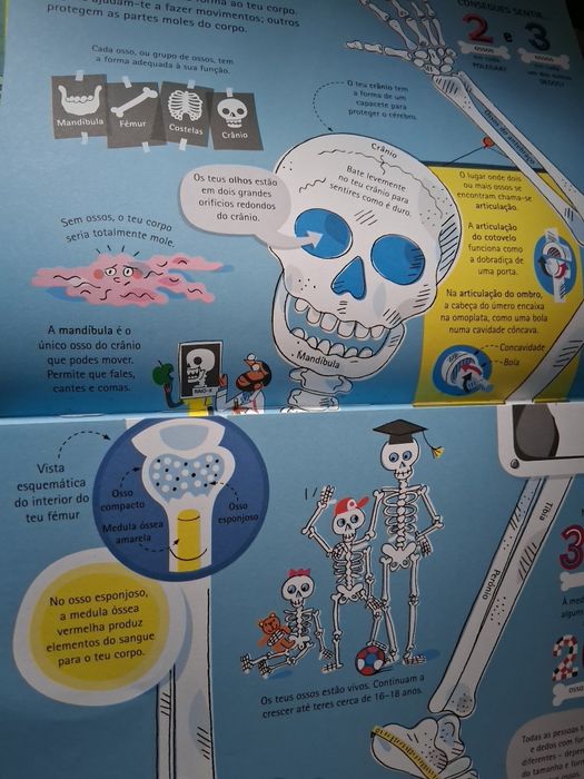 O grande livro do corpo humano